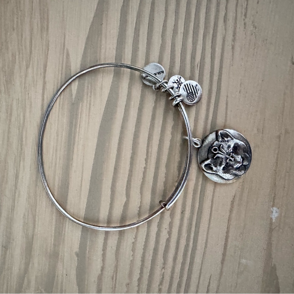 Alex and Ani Silver Charm Adjustable Bangle
